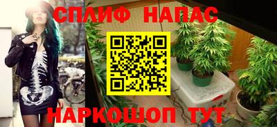 ПСИЛОЦИБИНОВЫЕ ГРИБЫ Сланцы
