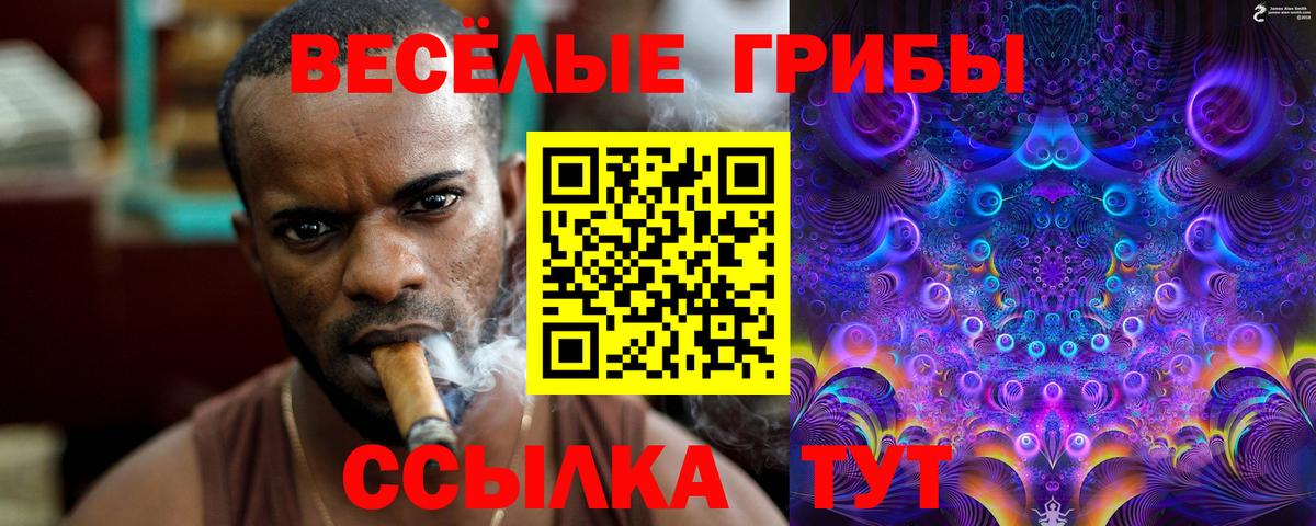 Орск  Псилоцибиновые грибы прущие грибы  Вход с VPN 