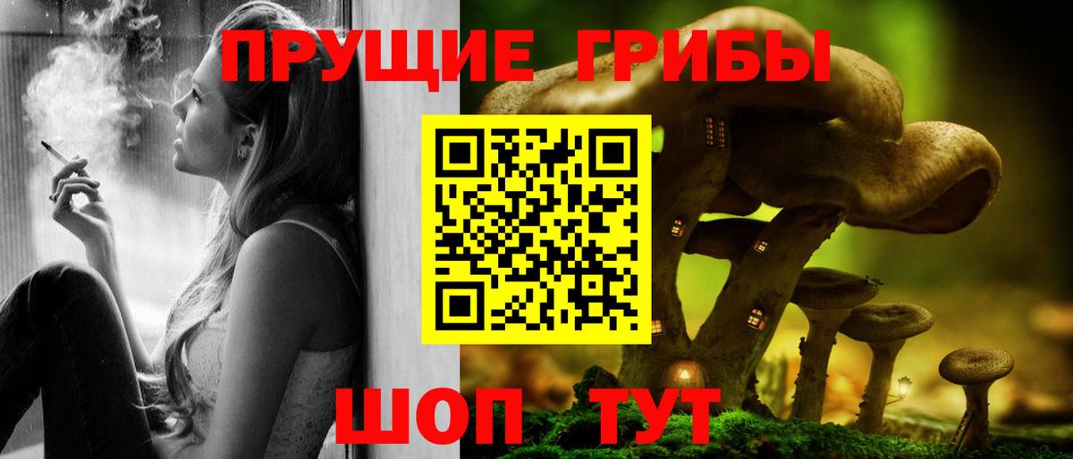 Псилоцибиновые грибы GOLDEN TEACHER Орск